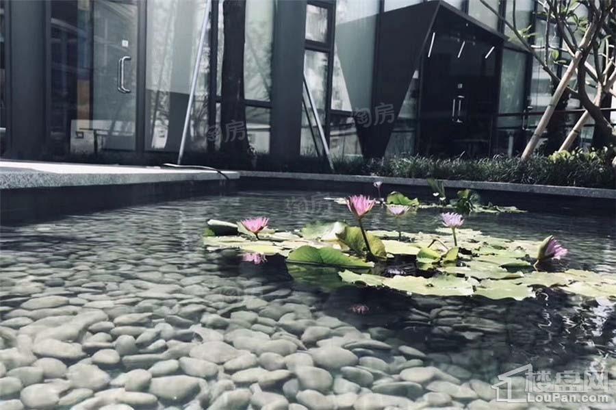 星光喜寓实景图