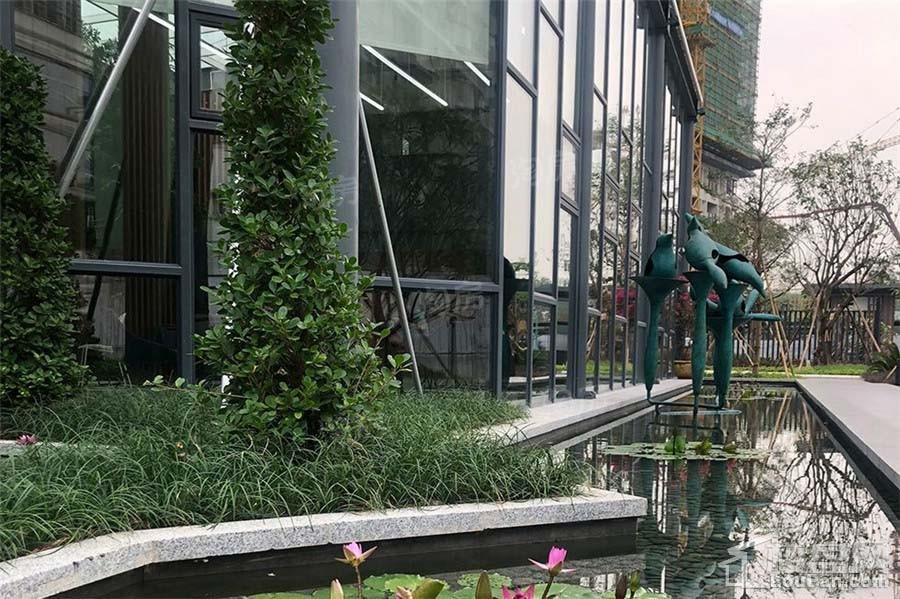 星光喜寓实景图