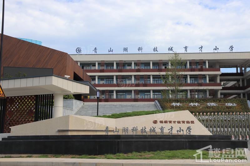 绿城国际社区配套图
