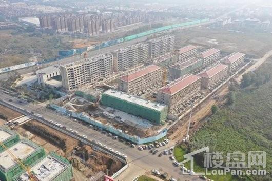 伟峰领袖领地实景图