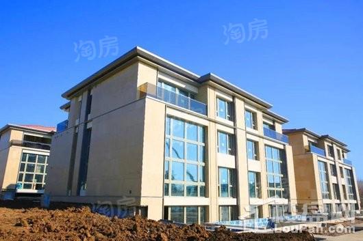伟峰领袖领地实景图