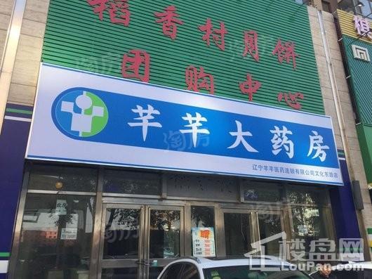 五矿沈河金城配套图