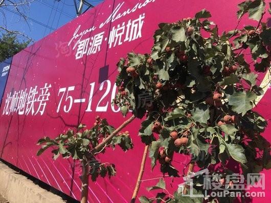 郡源悦城实景图