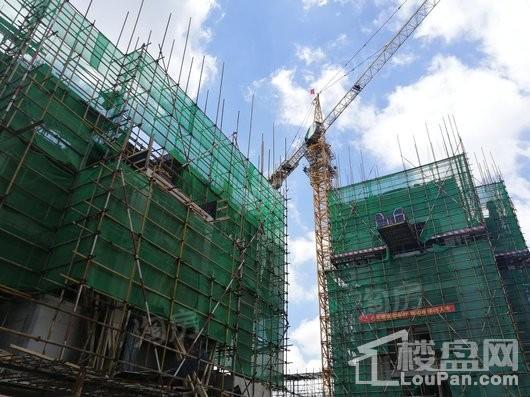 中港城永安嘉苑实景图