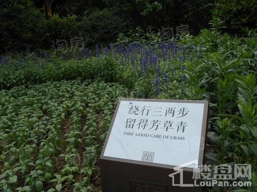 美的盛堂实景图