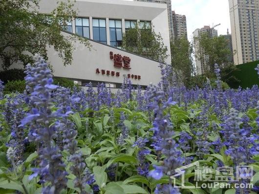 美的盛堂实景图