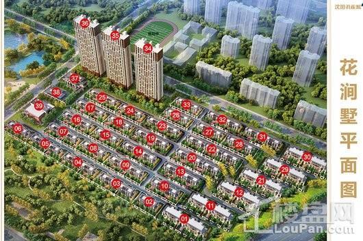 孔雀城新京学府效果图