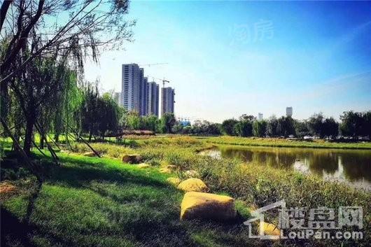 孔雀城新京学府配套图