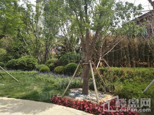 华润置地二十四城实景图