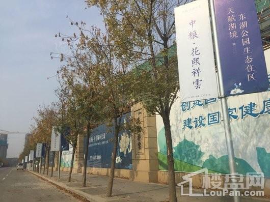 中粮花熙祥云实景图