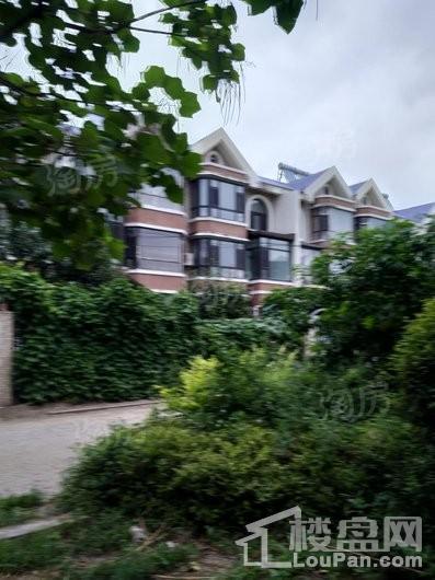 高新悦府实景图