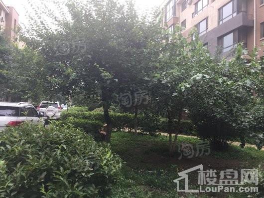 中房上东花墅7.3期洋房实景图