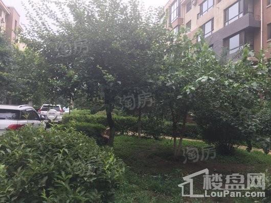 中房上东花墅7.3期洋房实景图