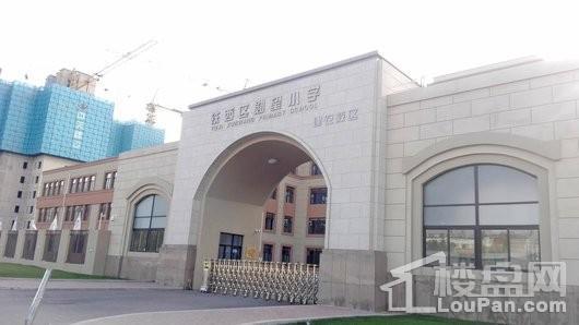 龙湖天宸原著配套图