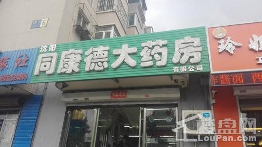 龙湖天宸原著配套图