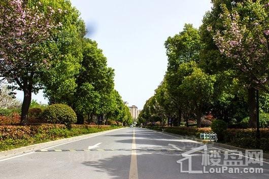 华润·悦府山栖实景图