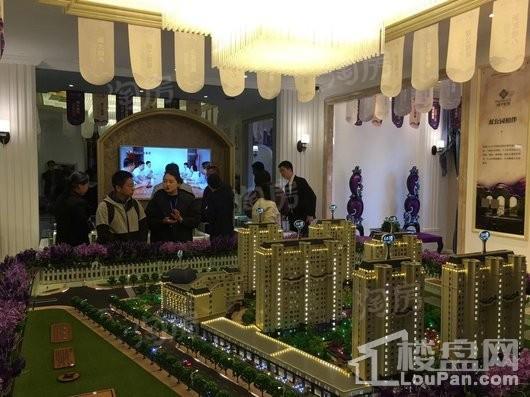 新大普罗旺斯实景图