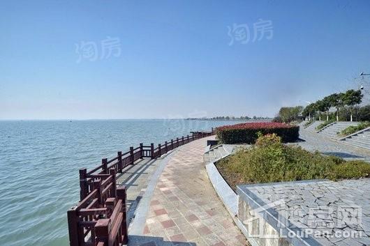 观湖御景配套图