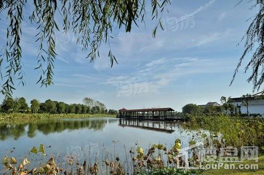 观湖御景配套图