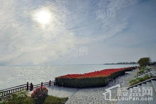 观湖御景配套图