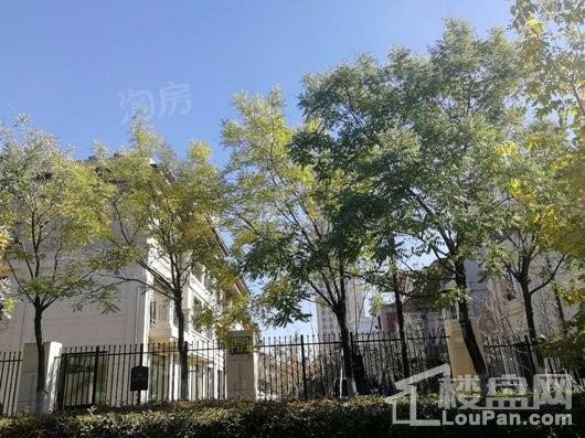 龙湖九里晴川实景图