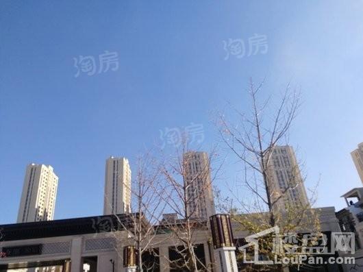 龙湖九里晴川实景图