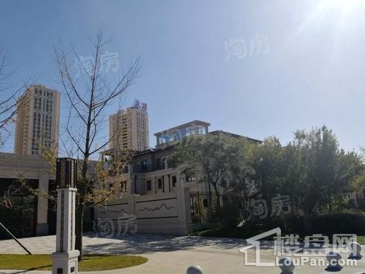 龙湖九里晴川实景图