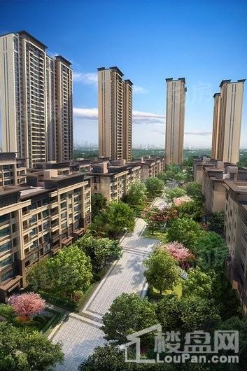 金水湾效果图