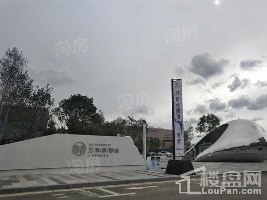 万科新都会实景图