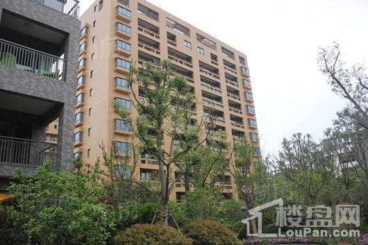 浦江华侨城8期实景图