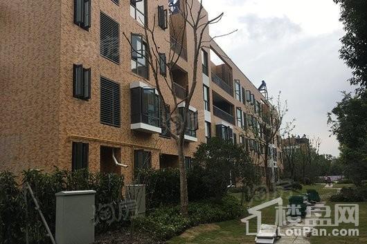 浦江华侨城8期实景图