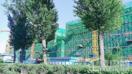 中东港实景图