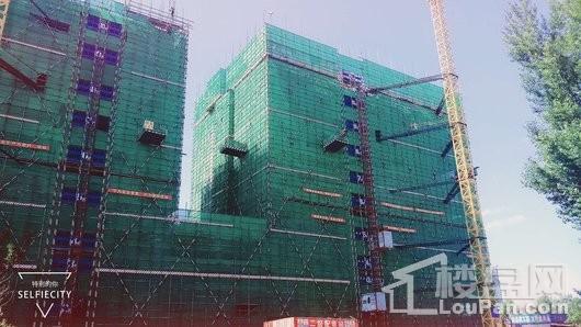 中东港实景图