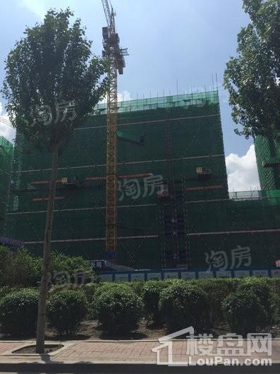 中东港实景图