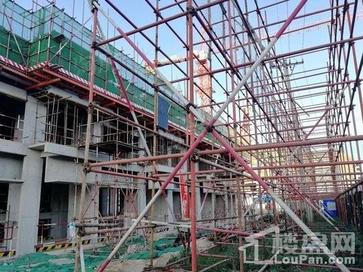 碧桂园太阳城【河景高层】实景图