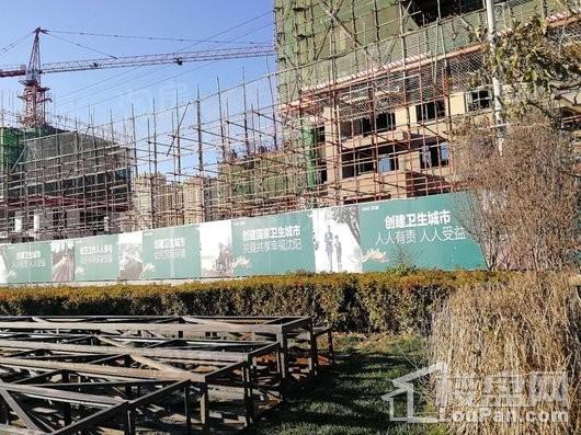 碧桂园太阳城【河景高层】实景图