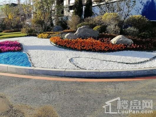 碧桂园太阳城【河景高层】实景图