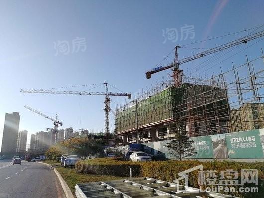 碧桂园太阳城【河景高层】实景图