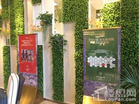 万科翡翠四季实景图