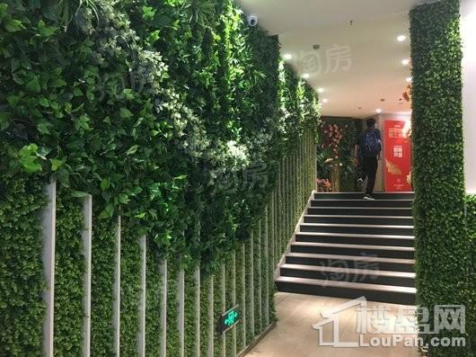 万科翡翠四季实景图