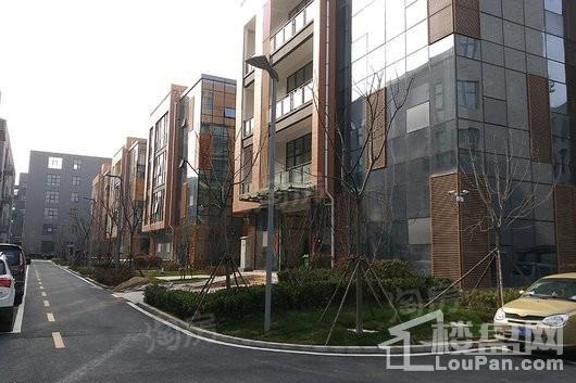 锦荣米兰小镇实景图