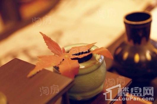 信达万科如园实景图