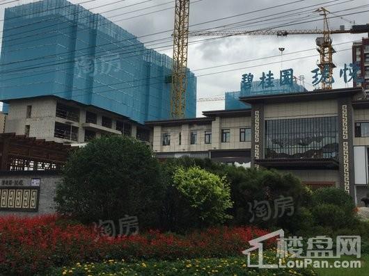 碧桂园珑悦实景图