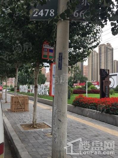 碧桂园珑悦配套图