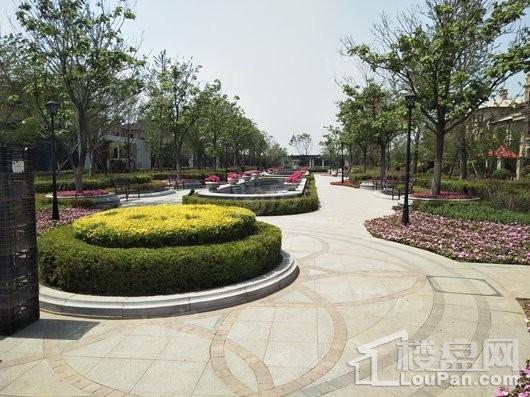 新湖美丽洲实景图