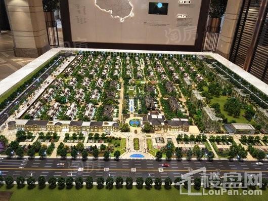 新湖美丽洲实景图