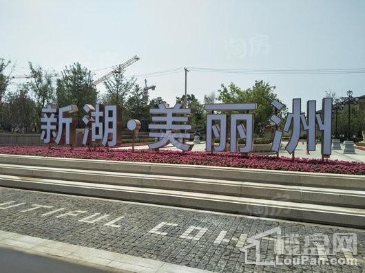 新湖美丽洲实景图