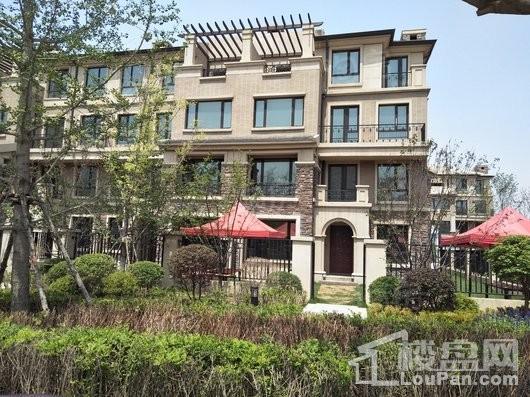 新湖美丽洲实景图