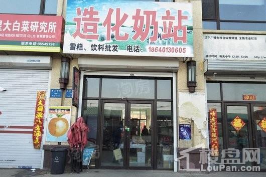 新湖美丽洲配套图