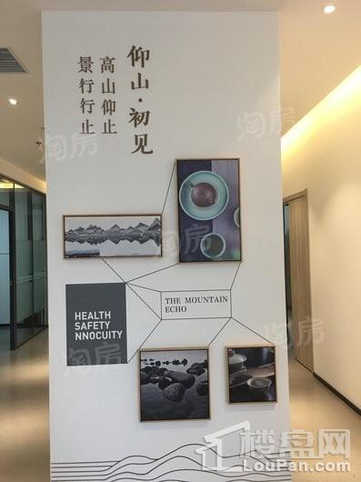 远洋仰山实景图